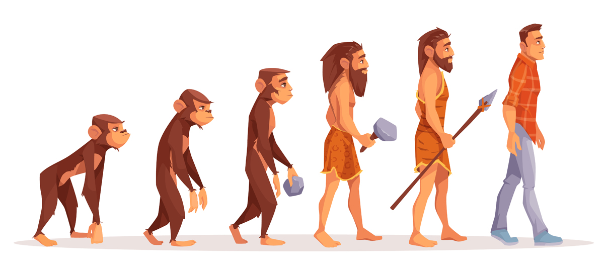 Evolución Del Hombre 】 ★ Concepto Y Etapas ★